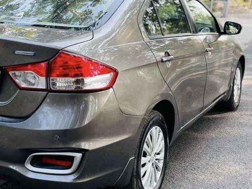 2019 Maruti Suzuki Ciaz Delta Diesel MT for sale in Jalandhar