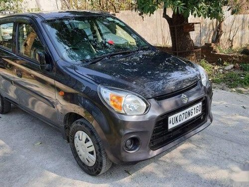 Maruti Suzuki Alto 800 LXI 2019 MT for sale in Dehradun