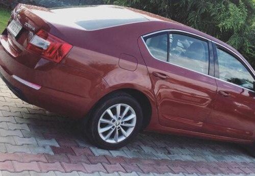 Used 2014 Octavia Ambition 2.0 TDI AT  for sale in Faridabad