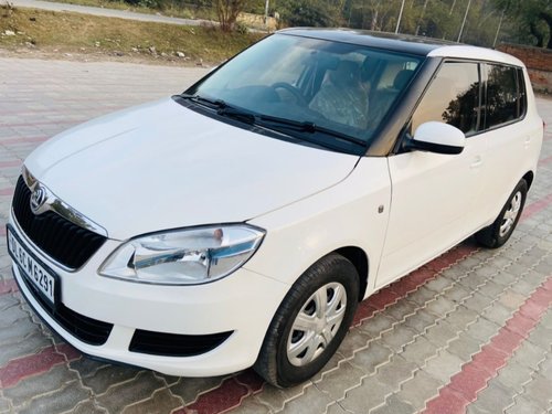 2014 Skoda Fabia in North Delhi